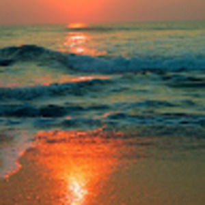 Meet your Posher, Audra